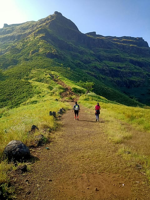 Monsoon rains turn the brown hills to green